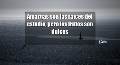 amargas-son-las-raices-del-estudio-pero-los-frutos